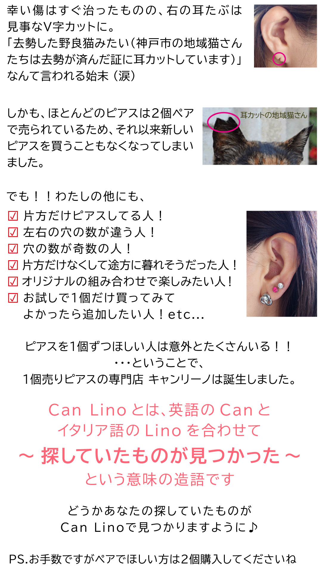スリーフォータイム Three Four Time ステンドチューリップ