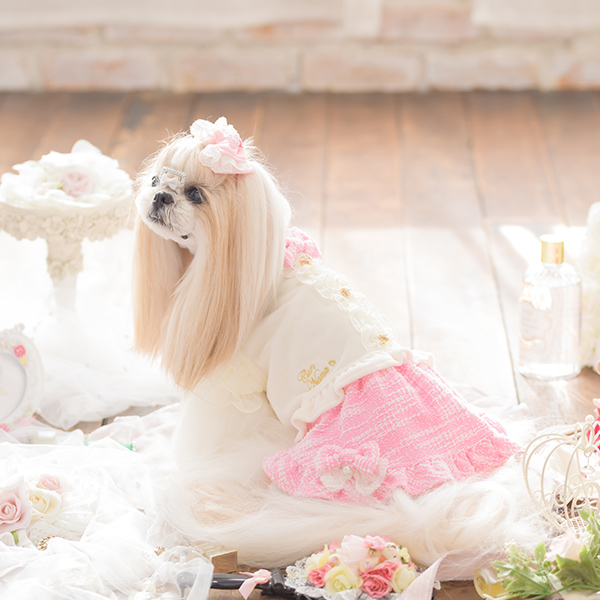 CanNana 犬 服 犬の服 冬 冬服 フリルトップス×ツイードドッキング