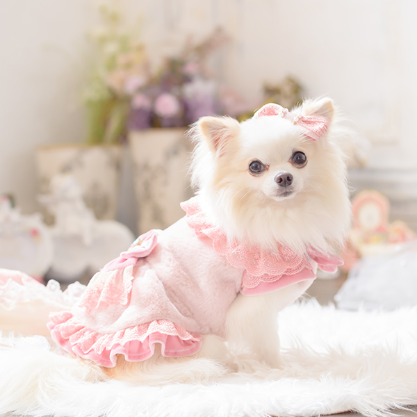 CanNana 犬 服 犬の服 犬服アウター 冬服 ボリューム衿のファー