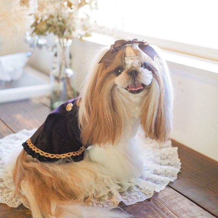 CanNana 犬 服 犬服 冬服 クラシカルベロアワンピース おしゃれ