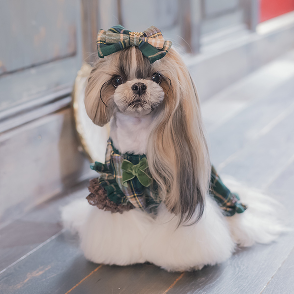 犬 服 犬服 犬の服 冬服 おしゃれ ブランド セレブ 小型犬 シーズー 