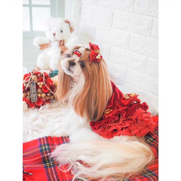 CanNana 犬 服 犬の服 秋冬 ボリュームフリルベロアワンピース
