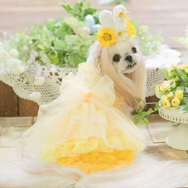 CanNana 犬 犬服 スカート チュールフリルスカート かわいい フリフリ