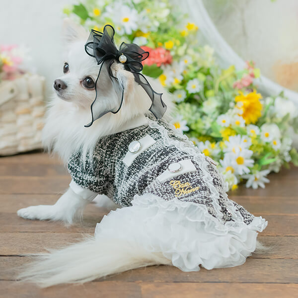 CanNana 【WEB限定】犬 服 犬の服 春 チュールフリルスカート