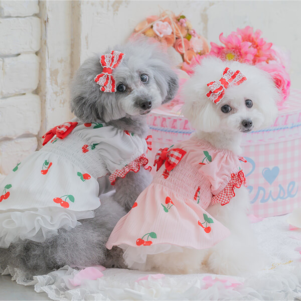 【新品未使用】キャンナナ　犬服 オフホワイト フリル付き CanNana 犬 服 犬服 ワンピース 春夏 花柄3段フリルワンピース