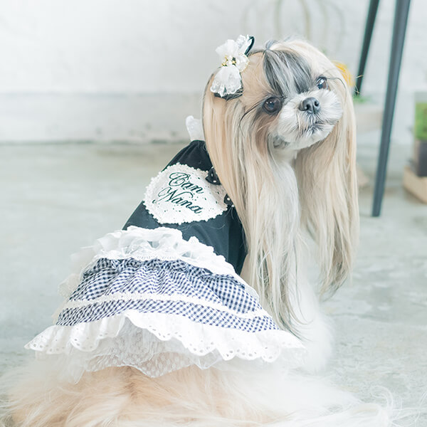 犬服 夏 撮影会 ワンピース かわいい フリフリ おしゃれ 小型犬 きゃんナナ 犬 服 犬の服 ハート セレブ ドッグウェア ブランド