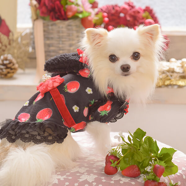 きゃんナナ CanNana 冬いちごうさ耳ワンピース 1145【小型犬 犬