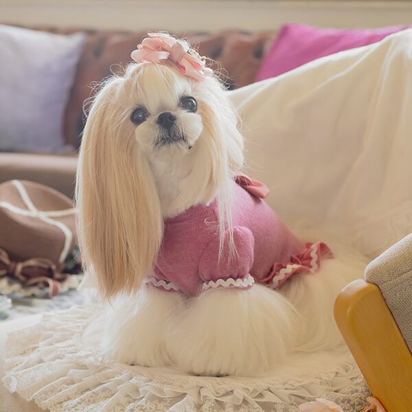luxebirdie 犬服 ピンク フリル リボン Luxebirdie（リュクスバーディ）|小型犬とのリュクスな生活を