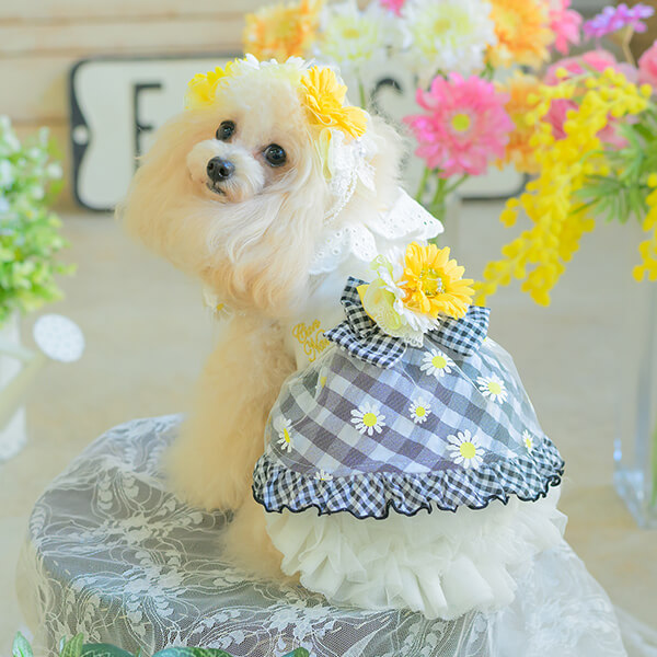 CanNana 犬服 春 ドックウェア ワンピース ギンガムチェック プードル