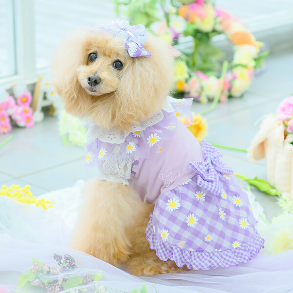 きゃんナナ フラワーギンガムワンピース ラベンダー SS タグ付き CanNana 犬 犬服 春 ドックウェア フラワーギンガムワンピース