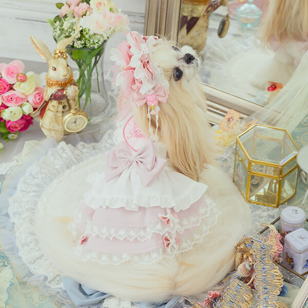 アリス 不思議の国のアリス ピンク 犬服 ワンピース コスプレ ブランド