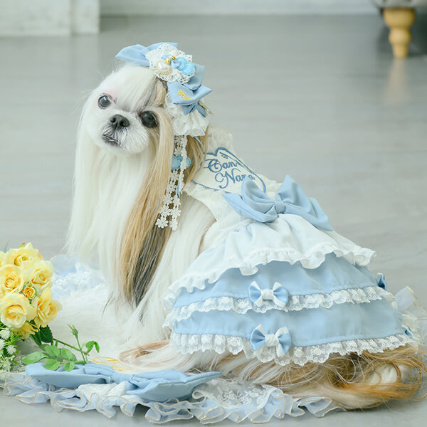 CanNana アリス 不思議の国のアリス ブルー 犬服 ワンピース コスプレ