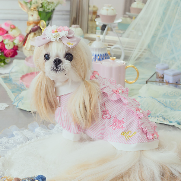 アリス 不思議の国のアリス ブルー 犬服 シャツ トップス コスプレ