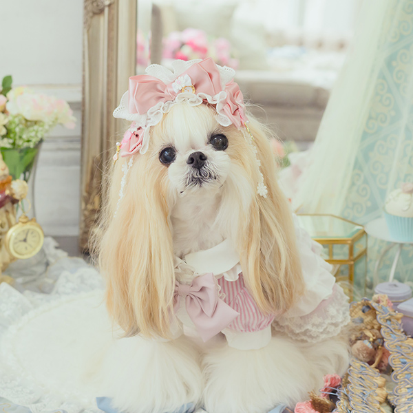 CanNana アリス 不思議の国のアリス ピンク 犬服 シャツ トップス