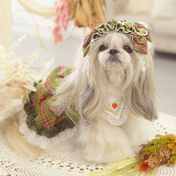 CanNana 犬 犬服 春 ドックウェア ワンピース レトロ いちご タータン