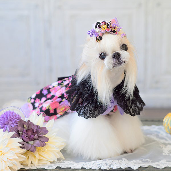 犬服ハンドメイド＊Pink*花ꕤ花ワンピ 犬服ハンドメイド＊Pink*花ꕤ花ワンピ