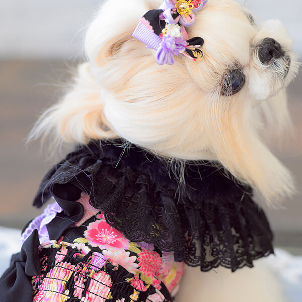 CanNana 犬 犬服 秋冬 正月 ドックウェア ワンピース ロリータ 和柄