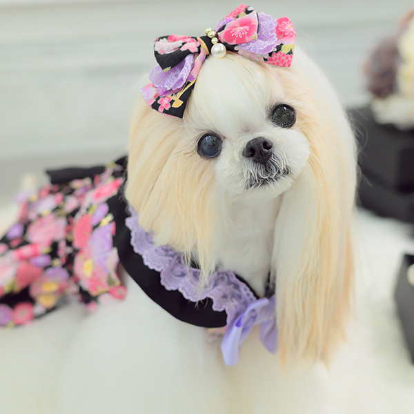 CanNana 犬 犬服 秋冬 正月 ドックウェア ワンピース ロリータ 和柄