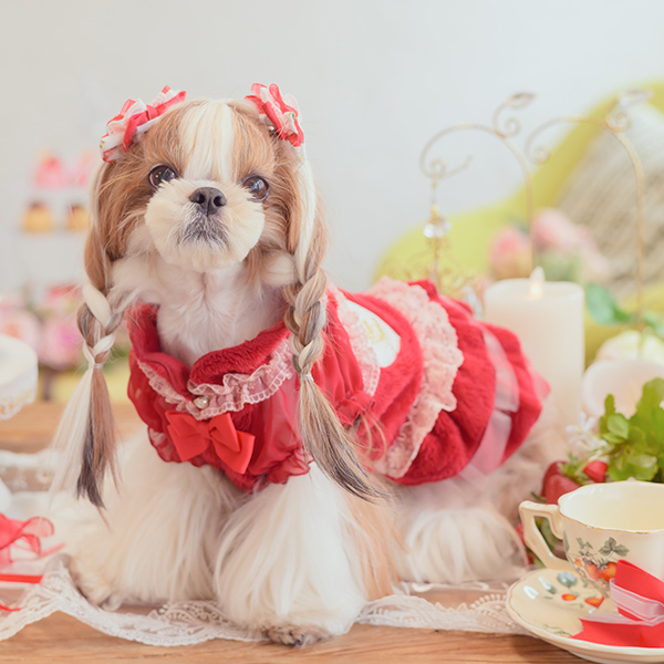CanNana 犬 犬服 冬服 防寒 暖かい ドックウェア ワンピース かわいい