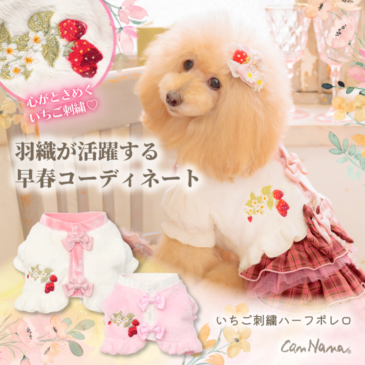 公式きゃんナナオンラインショップ - Yahoo!ショッピング