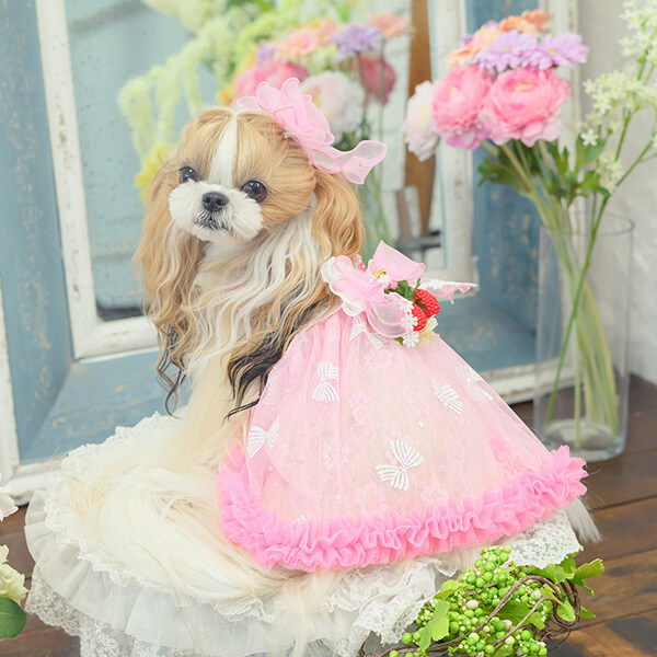 レース＆チュールキャミワンピース(リボンブローチ付き)01