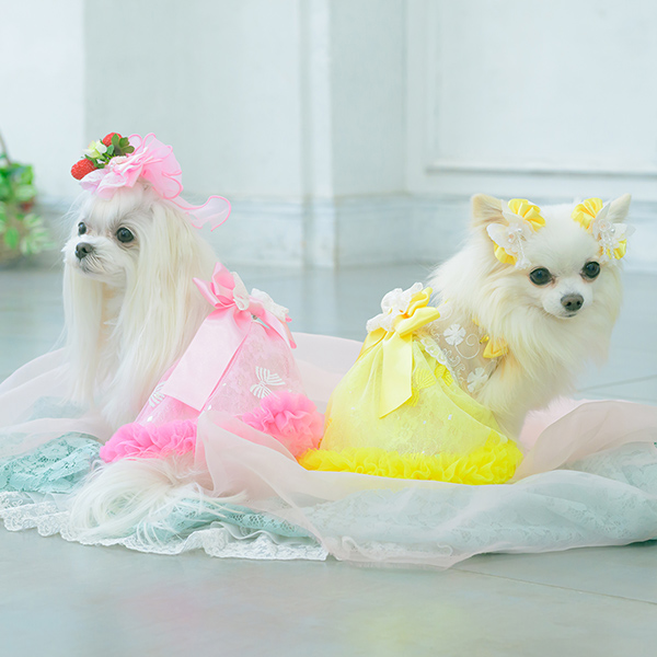 レース＆チュールキャミワンピース(リボンブローチ付き)19