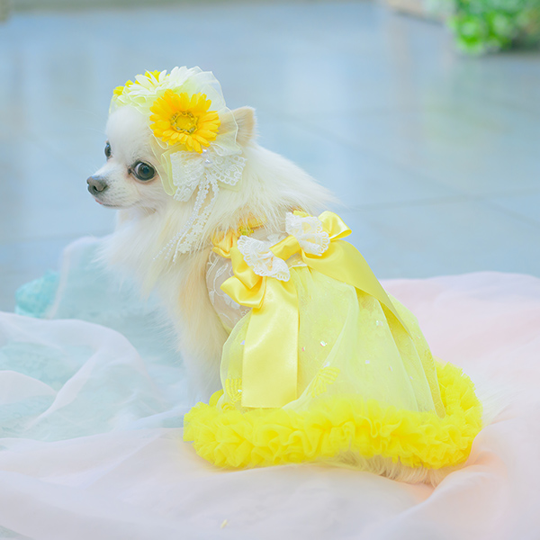 レース＆チュールキャミワンピース(リボンブローチ付き)02