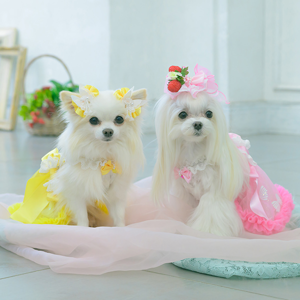 レース＆チュールキャミワンピース(リボンブローチ付き)03