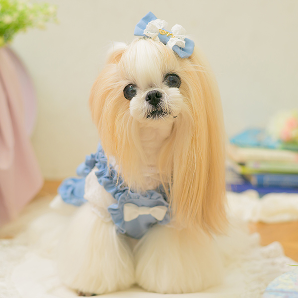 ストレッチデニムキャミワンピース16