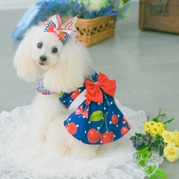 きゃんナナ さくらんぼフレアーワンピース Mサイズ　さくらんぼリボンバレッタ付き CanNana 犬 犬服 春夏 さくらんぼフレアーワンピース レース