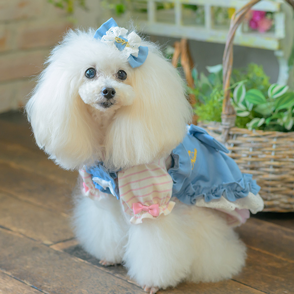 ロゴラインストーンボーダーカットソー01