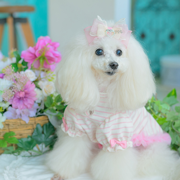 ロゴラインストーンボーダーカットソー13