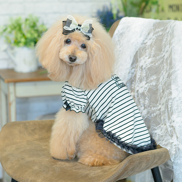 ロゴラインストーンボーダーカットソー15