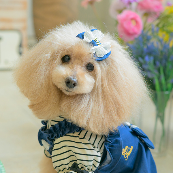 ロゴラインストーンボーダーカットソー17