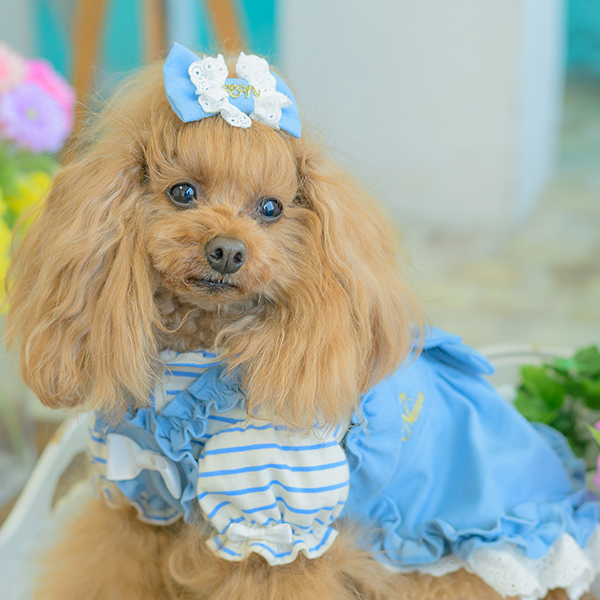 ロゴラインストーンボーダーカットソー18