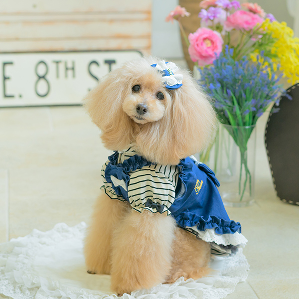 ロゴラインストーンボーダーカットソー02