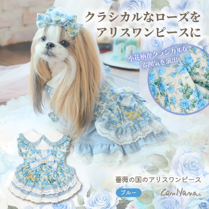公式きゃんナナオンラインショップ - Yahoo!ショッピング