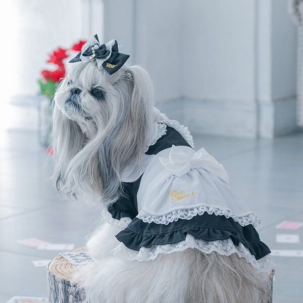 CanNana 犬服 ワンピース かわいい プレゼント 撮影会 おでかけ 不思議