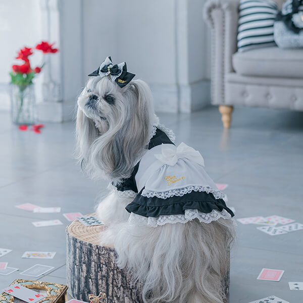 CanNana 犬服 ワンピース かわいい プレゼント 撮影会 おでかけ 不思議