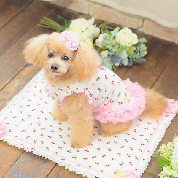 赤いチェリーの犬の服 CanNana 犬 犬服 服 春 ドックウェア さくらんぼ チェリー