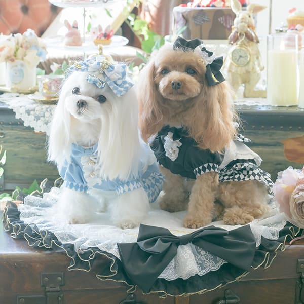 カフェマット マット 不思議の国のアリス 犬服 コスプレ