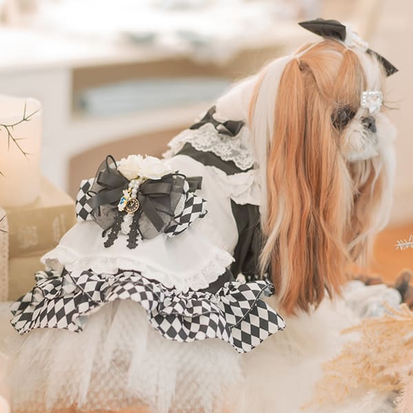 犬服・アクセサリー Rinarina CanNana 犬 アクセサリー ローズアリスブローチ 不思議の国の