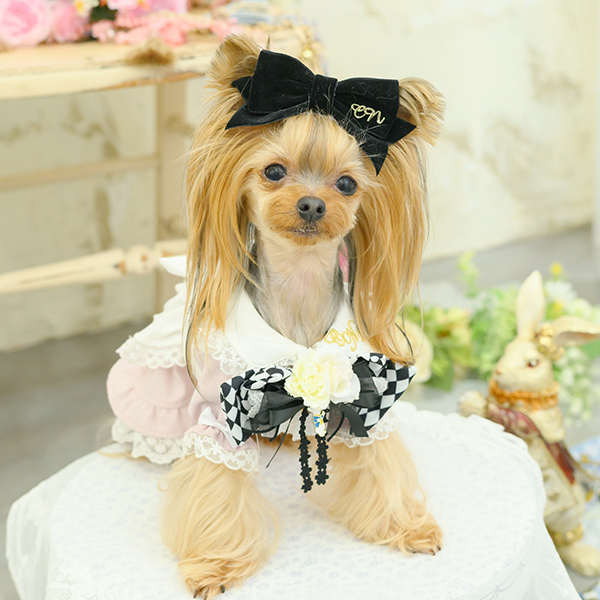 CanNana 犬 アクセサリー ローズアリスブローチ 不思議の国のアリス 犬