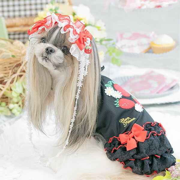 きゃんナナ　いちごのドレスとヘッドドレスセット 楽天市場】きゃんナナ 犬服 春 夏 ワンピース CANNANA いちご