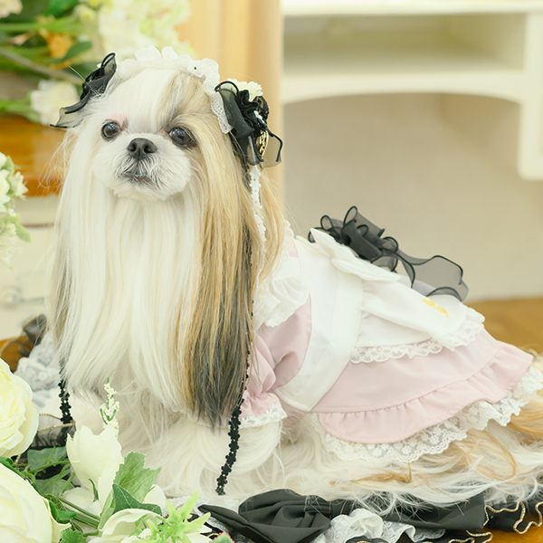 CanNana 犬 アクセサリー ローズとアリスのヘッドドレス リボン