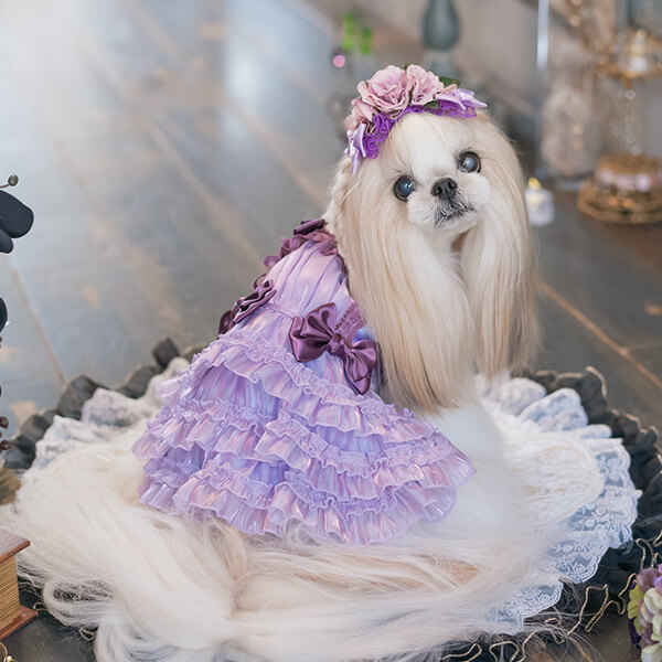 CanNana 犬 ヘッドドレス ローズ 薔薇 アクセサリー リボン アクセ