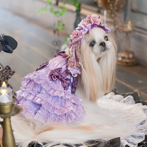 犬服・アクセサリー pp'closet PP* closet 犬服/ドッグウェア/ペットグッズ (@pp