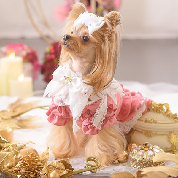 パールリボン♡クリスマス ネックチュール付き 犬服 ハンドメイド