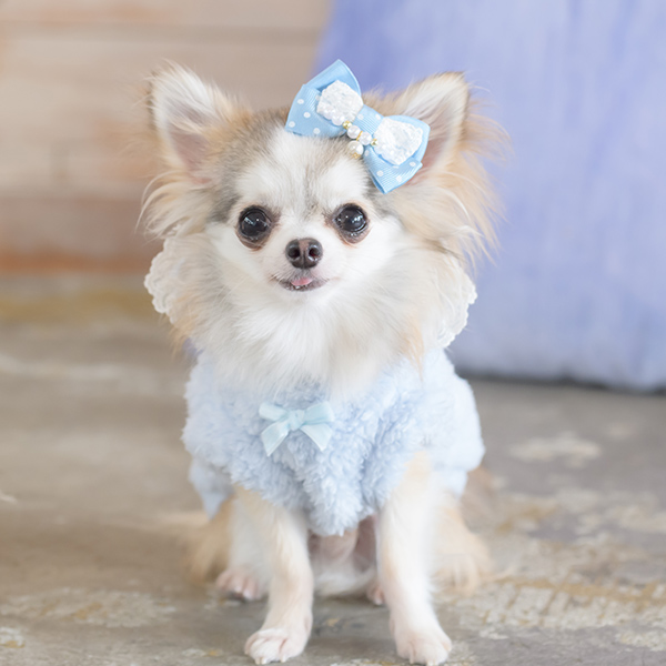犬服♡しのちゃん CanNana きゃんナナ 犬 服 犬服 犬の服 おしゃれ ブランド