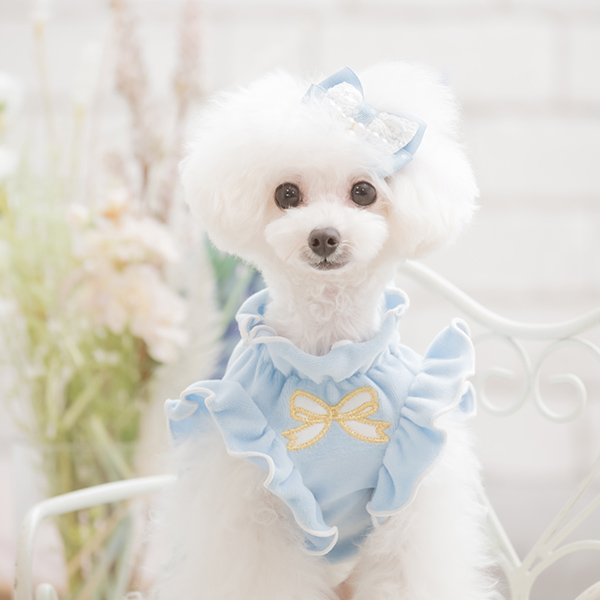 犬服♡しのちゃん CanNana きゃんナナ 犬 服 犬服 犬の服 おしゃれ ブランド